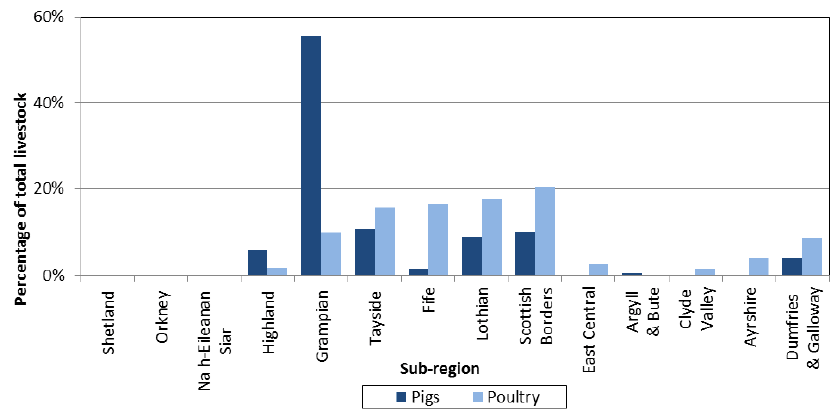 Chart 5.22: Distribution of pigs and poultry by sub-region, June 2015