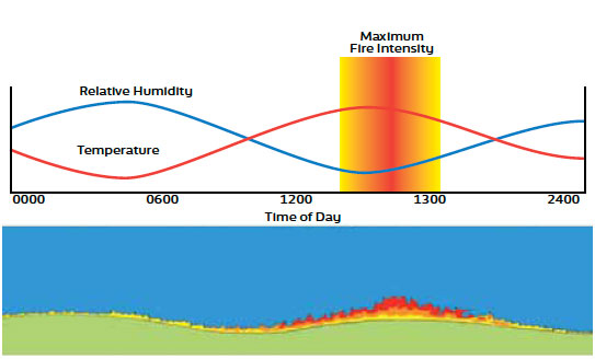 Fig. B5.1 Diagram showing the changes brought about by variations in temperature and relative humidity throughout the day. As temperature rises relative humidity falls resulting in increased fire intensities