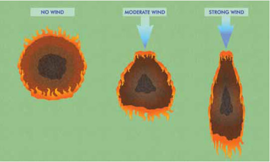 Fig. B5.4 The effect of wind on the shape of the fire