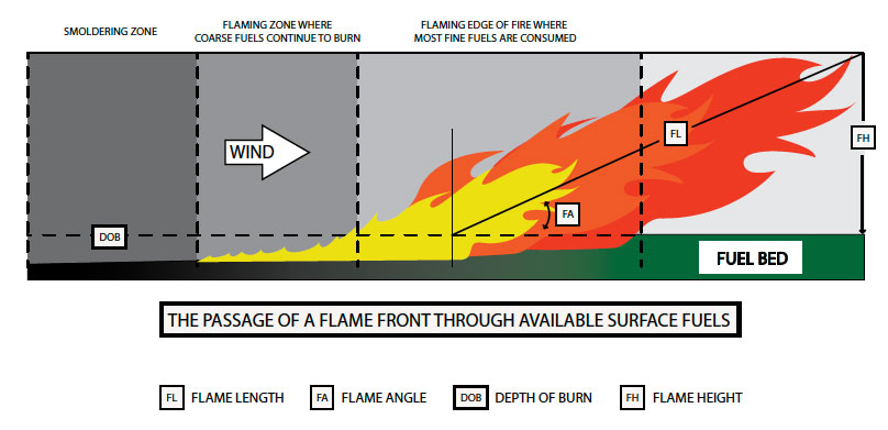 Fig. B5.15 Showing a representation of a head fire spreading through fuels on level terrain