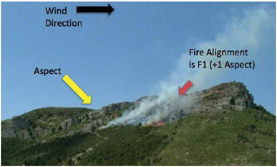 Photo B6.1 A fire that is burning against the wind and slope