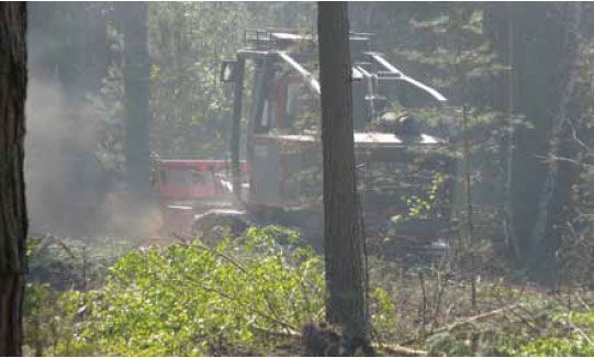 Photo B8.8 Forestry Commission equipment clearing woodland