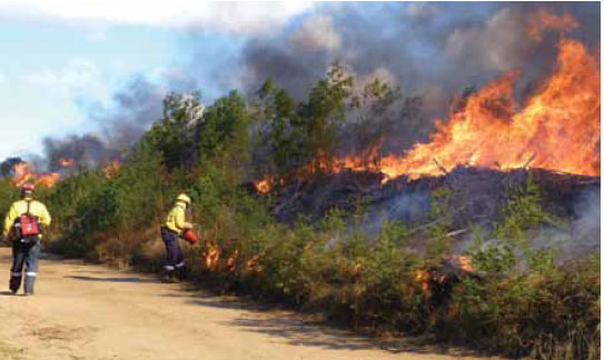 Photo B8.13 An offensive burn being carried out to strengthen a dirt track which has been utilised as a control line