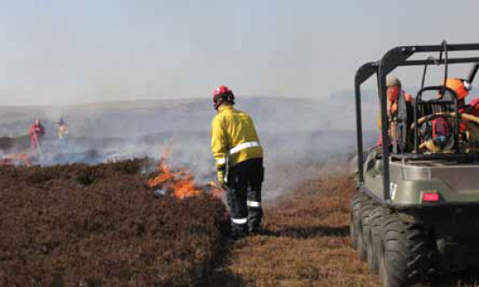 Photo B8.14 A joint FRS and land management parallel attack being carried out to remove fuel from the flanks of the fire