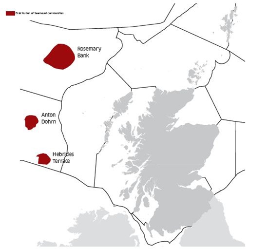 Distribution of Seamount communities