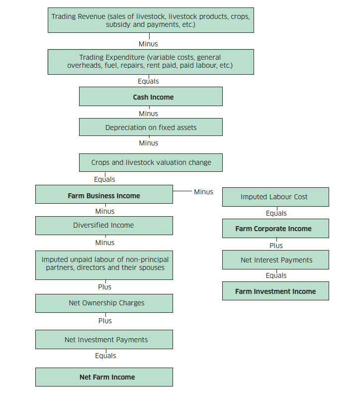 Diagram 1: Flow Chart Showing the Construction of the Main Economic Measures Derived from the FAS Data