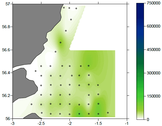 Figure 8: Map of the distribution of T. longicornis stages CV-CVI abundance in the study area in number of organisms m-2.