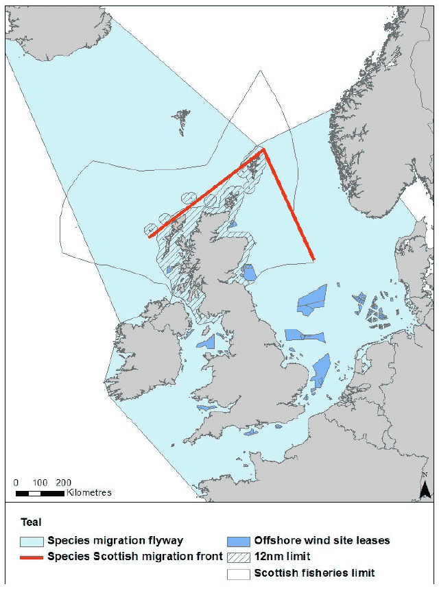 Figure 15: Migration flyway of teal passing through Scottish waters