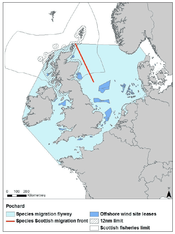 Figure 17: Migration flyway of pochard passing Scottish waters