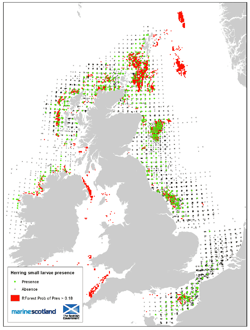 Figure 43: Small larvae aggregation area (Random Forest) and Presence/Absence source data
