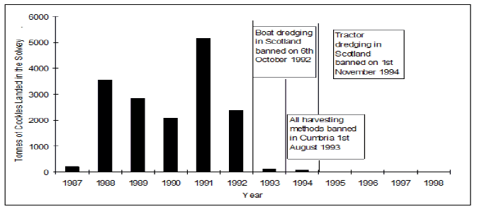 Figure 1: Volume cockles landed by UK vessels from the Solway (Ayr Fisheries Statistics and MAFF - taken from SSMA 2004 Regulating Order)