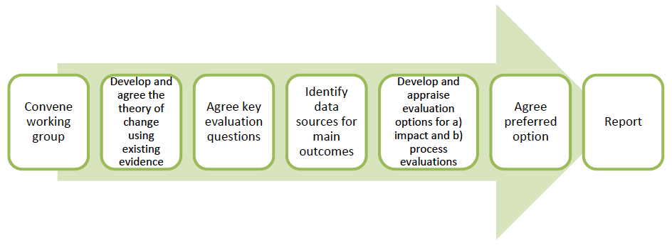 Figure 1: Evaluability assessment steps